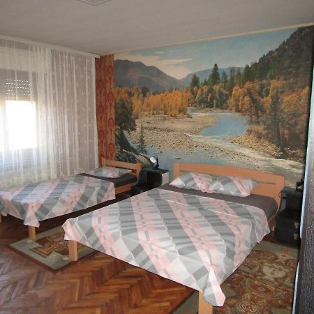 Apartman Milena クラドヴォ エクステリア 写真
