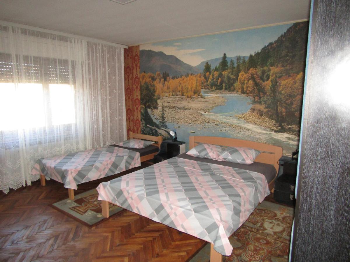Apartman Milena クラドヴォ エクステリア 写真